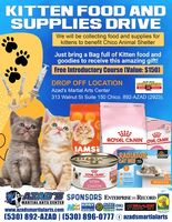 Participate in Our Kitten Food and Supplies Drive and Make a Kitten Smile