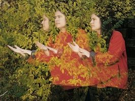 EASING ILLS THROUGH TAI CHI